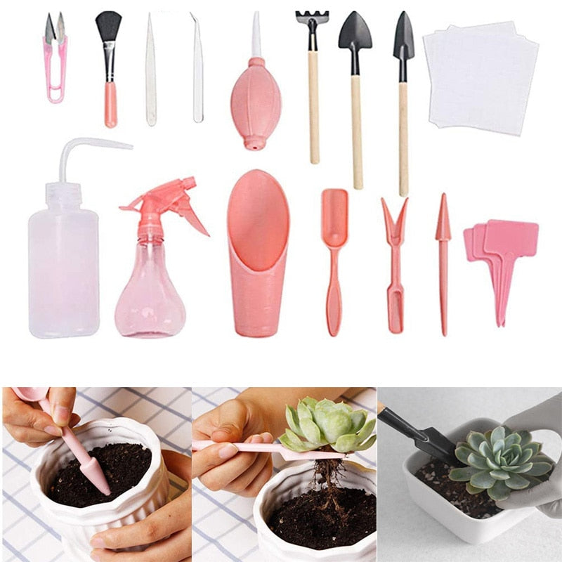 Kit de jardinagem para suculentas 12 peças - Kmelo120