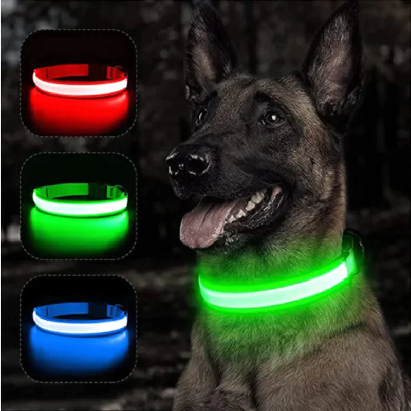 Coleira  LED - pets