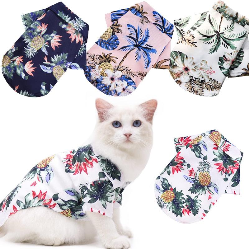 Camisa Verão para pets - Kmelo120