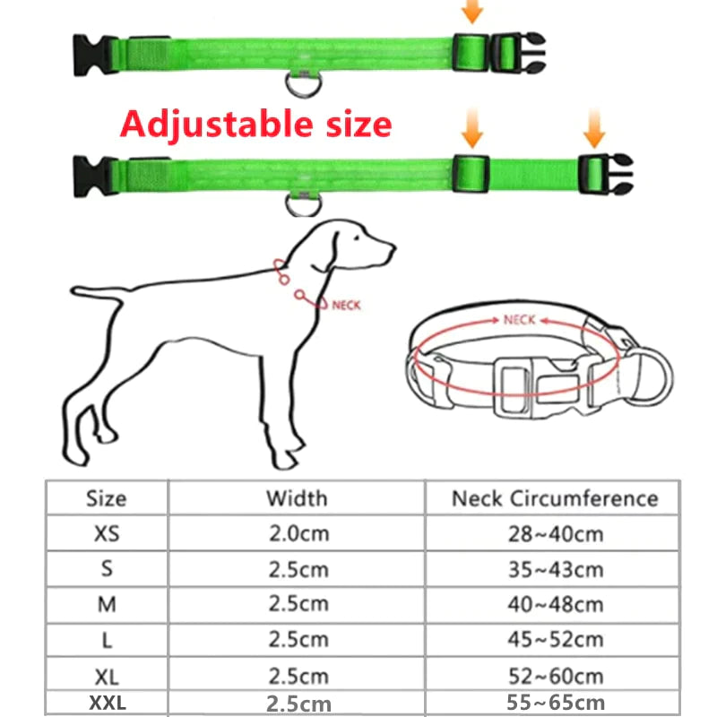 Coleira  LED - pets